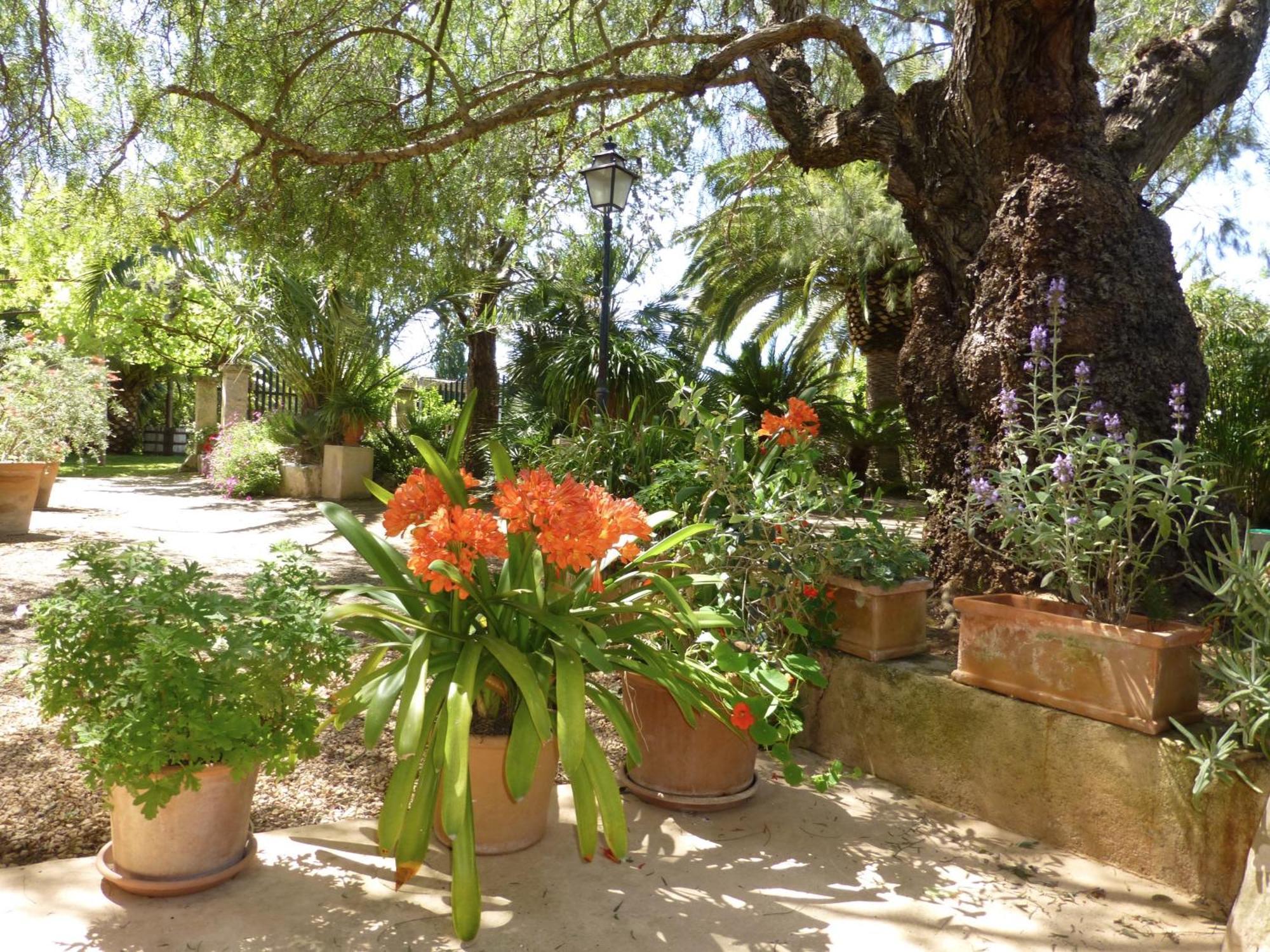 Finca Raims Algaida  Exterior foto
